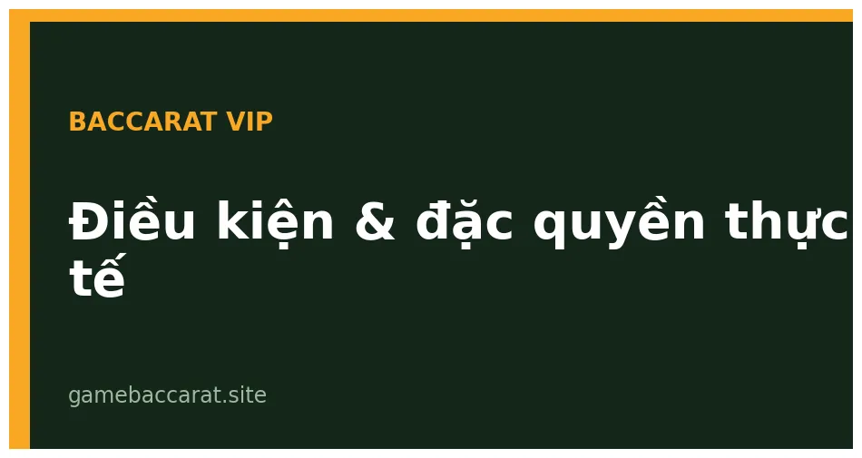 Baccarat VIP là gì? Điều kiện tham gia và đặc quyền thực tế 2 Phòng Salon Privé baccarat với dealer riêng và bàn chơi VIP