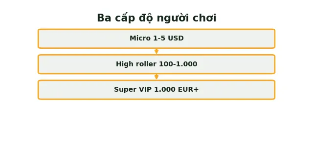 Baccarat VIP là gì? Điều kiện tham gia và đặc quyền thực tế 3 Sơ đồ ba cấp độ người chơi baccarat từ micro-stakes đến super VIP