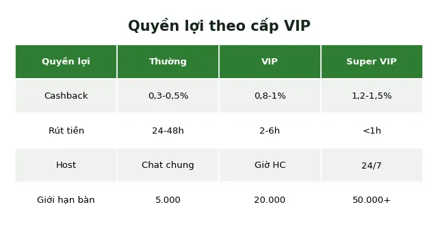 Baccarat VIP là gì? Điều kiện tham gia và đặc quyền thực tế 5 Bảng quyền lợi theo cấp VIP baccarat