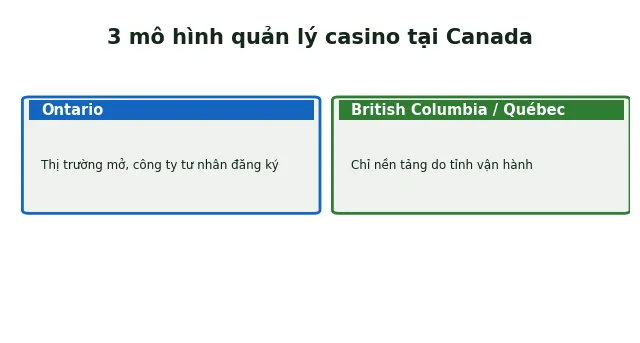 Online Baccarat Canada: Top 5 Casino Uy Tín Và Hợp Pháp 2025 3 3 mô hình quản lý casino online Canada