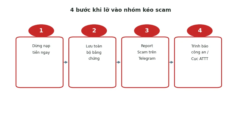Nhóm kéo Baccarat Telegram có lừa đảo không: Sự thật 2026 5 4 bước xử lý khi lỡ vào nhóm kéo scam
