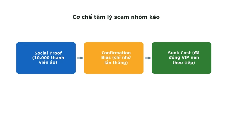 Nhóm kéo Baccarat Telegram có lừa đảo không: Sự thật 2026 3 Cơ chế tâm lý 3 giai đoạn của scam nhóm kéo